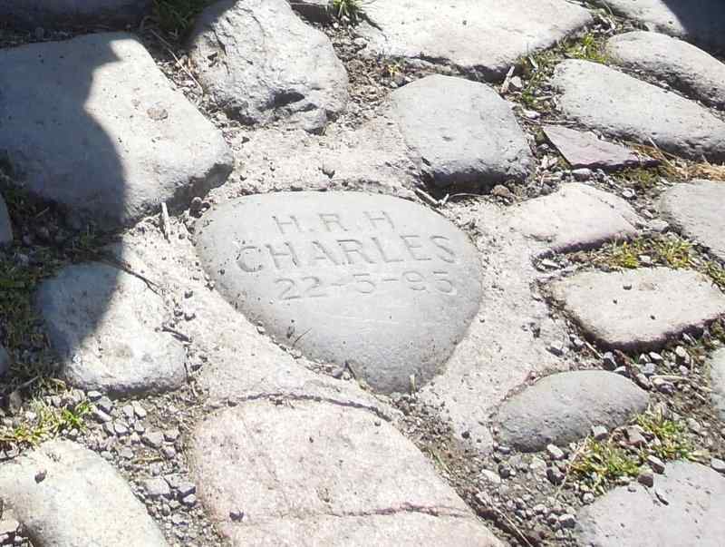 {short description of image}