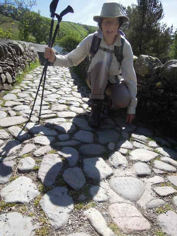 {short description of image}