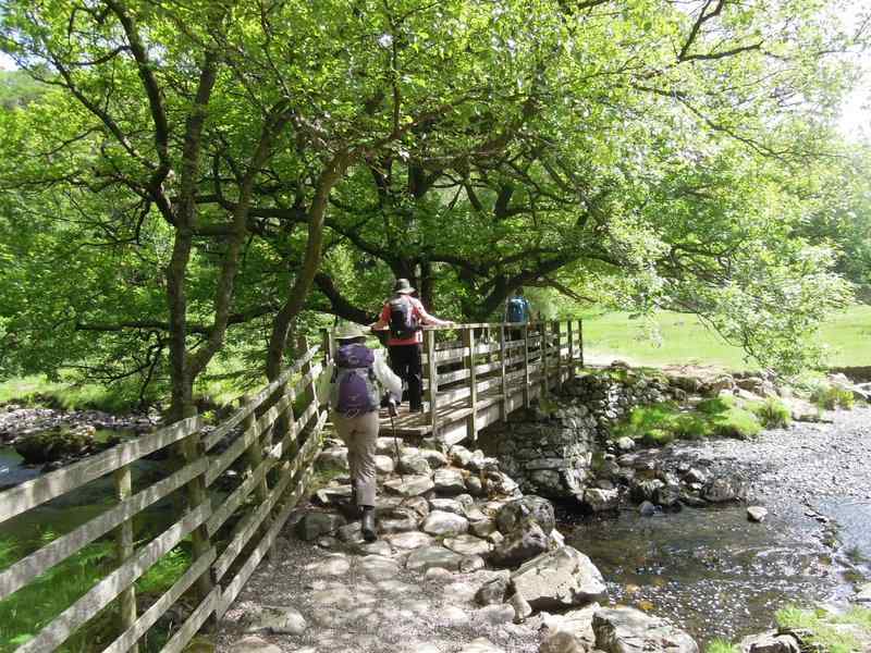 {short description of image}