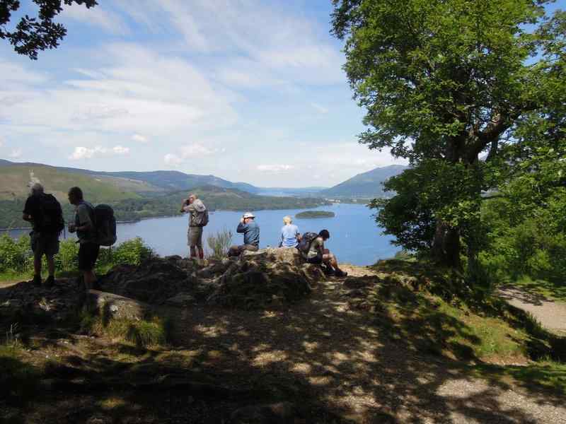 {short description of image}