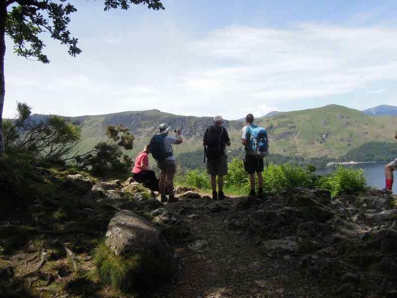 {short description of image}