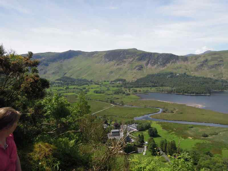 {short description of image}