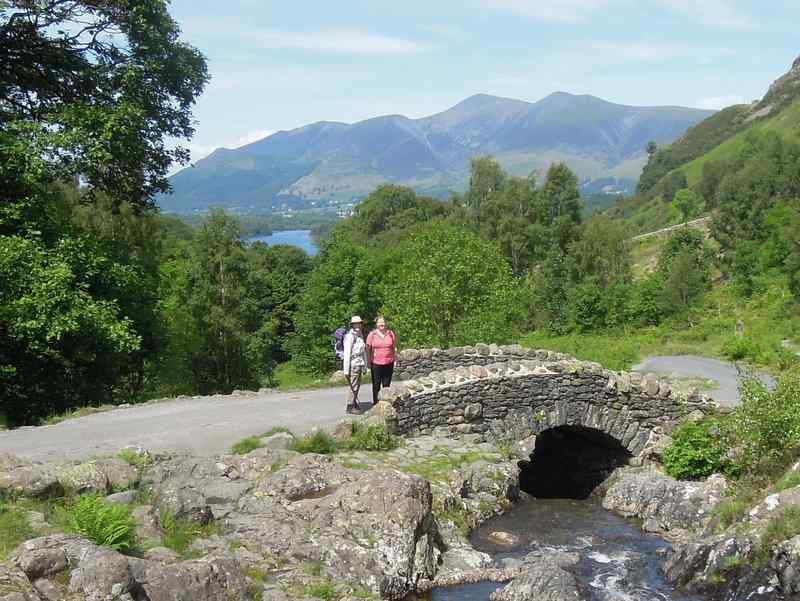 {short description of image}