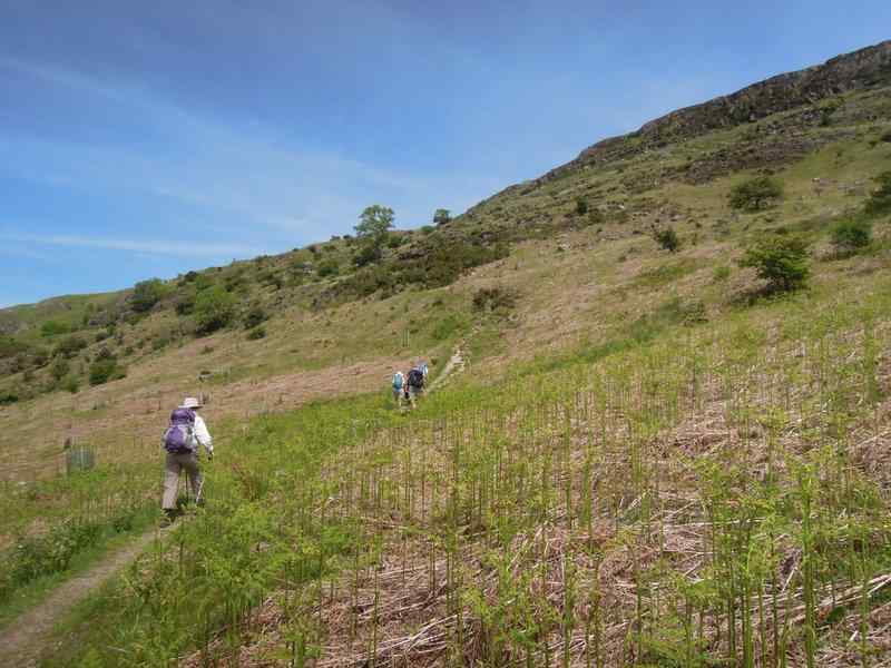 {short description of image}