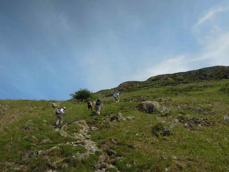 {short description of image}