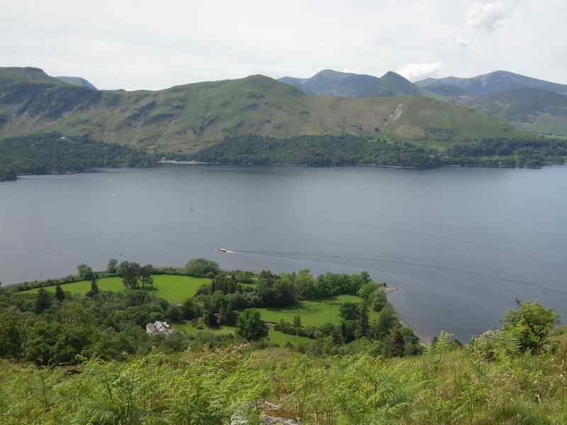 {short description of image}