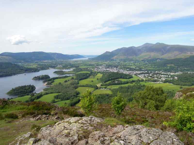 {short description of image}