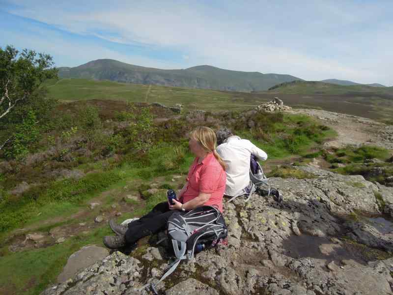 {short description of image}