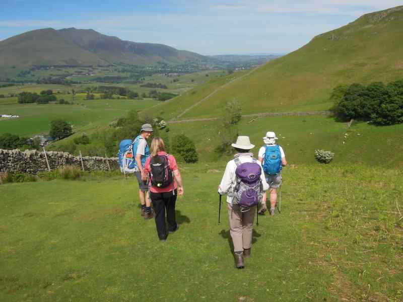 {short description of image}