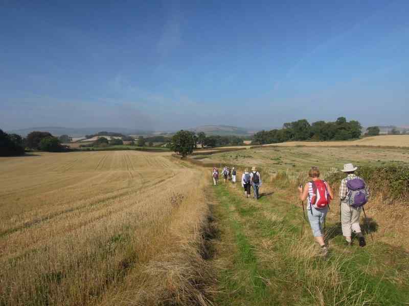 {short description of image}