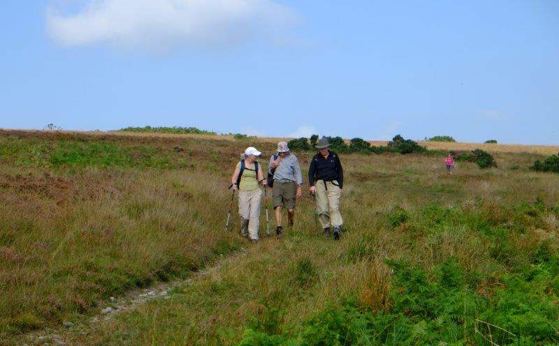 {short description of image}