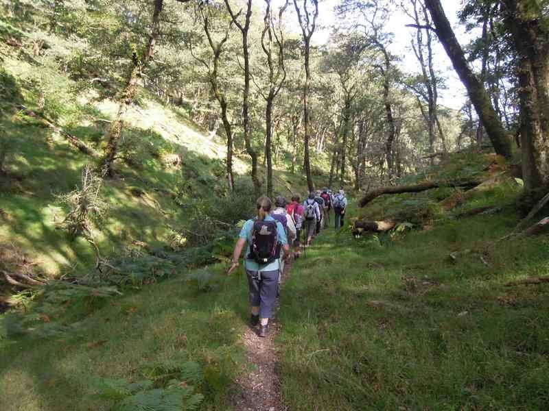 {short description of image}