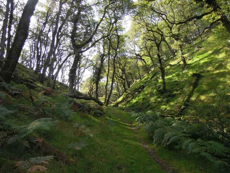 {short description of image}