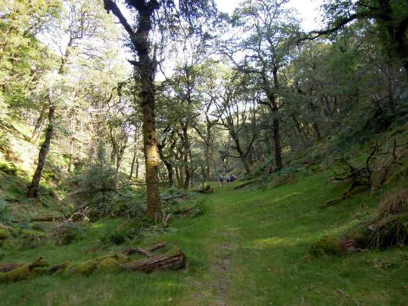 {short description of image}