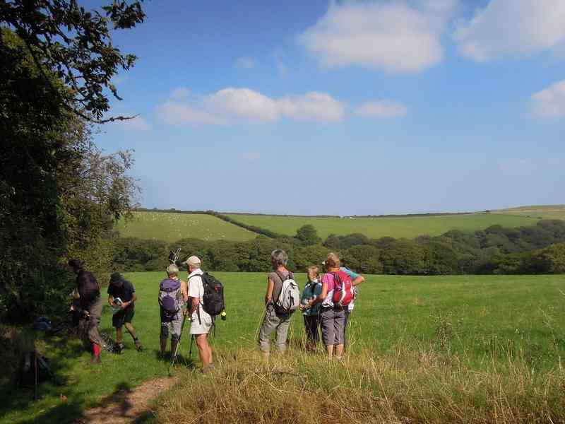 {short description of image}