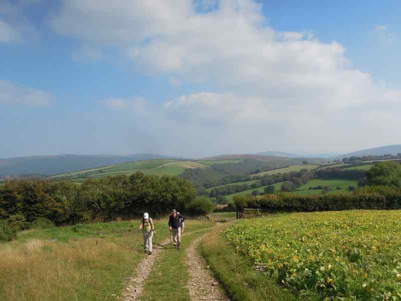 {short description of image}