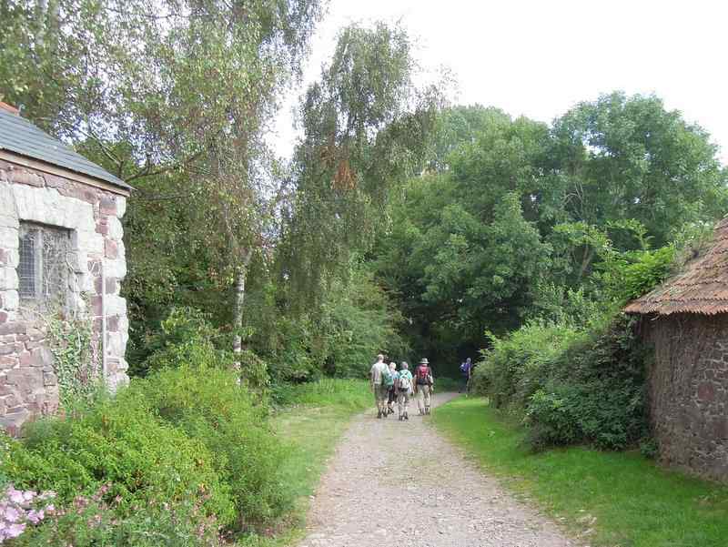 {short description of image}