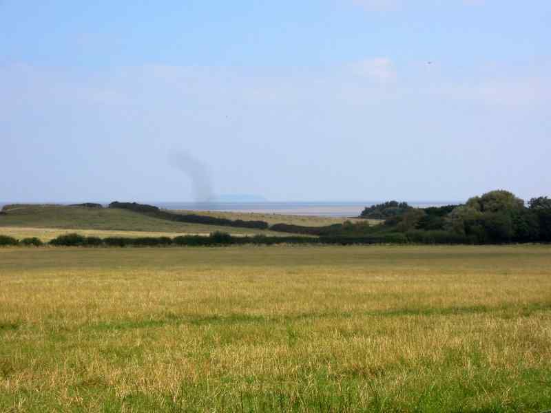 {short description of image}