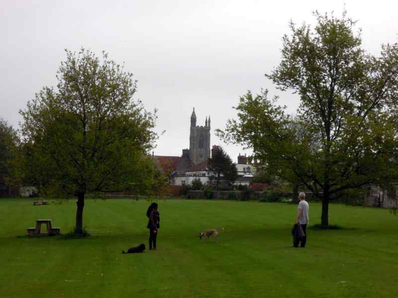 {short description of image}