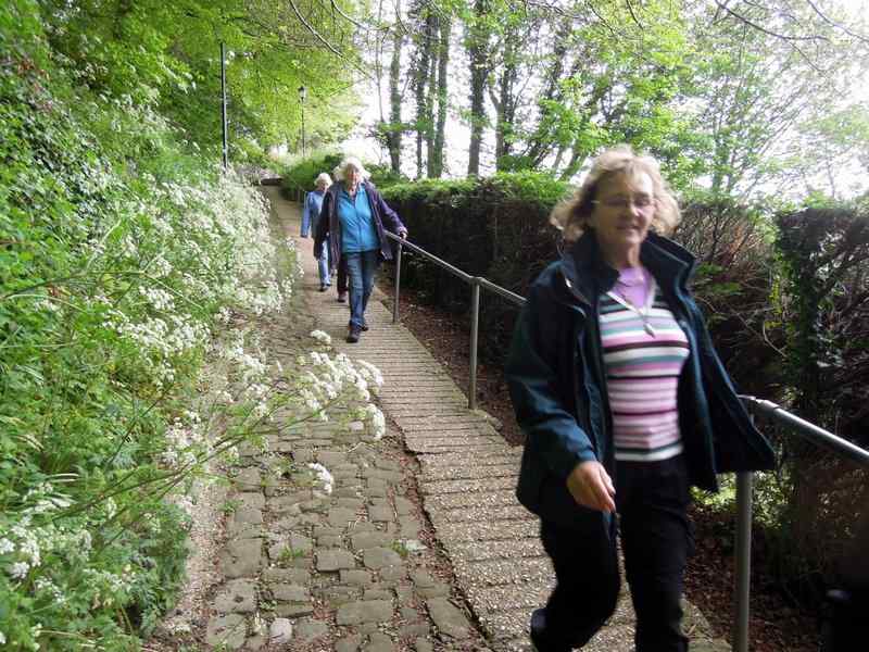 {short description of image}