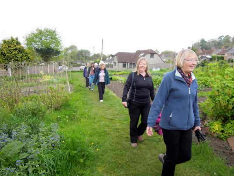 {short description of image}