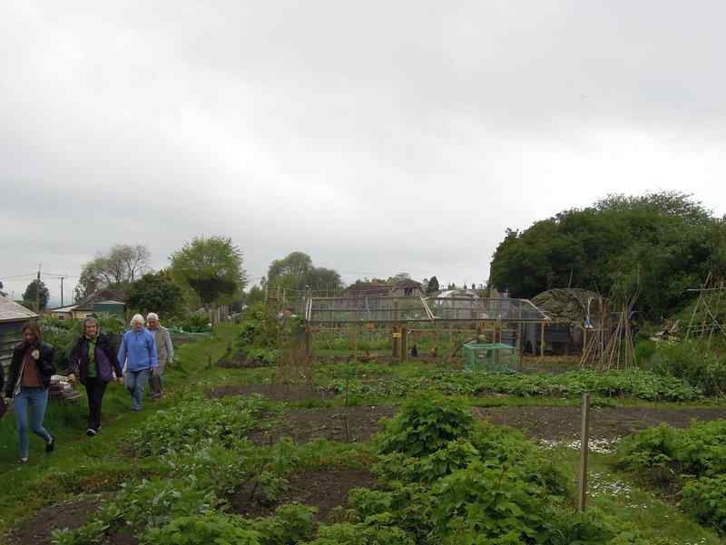 {short description of image}