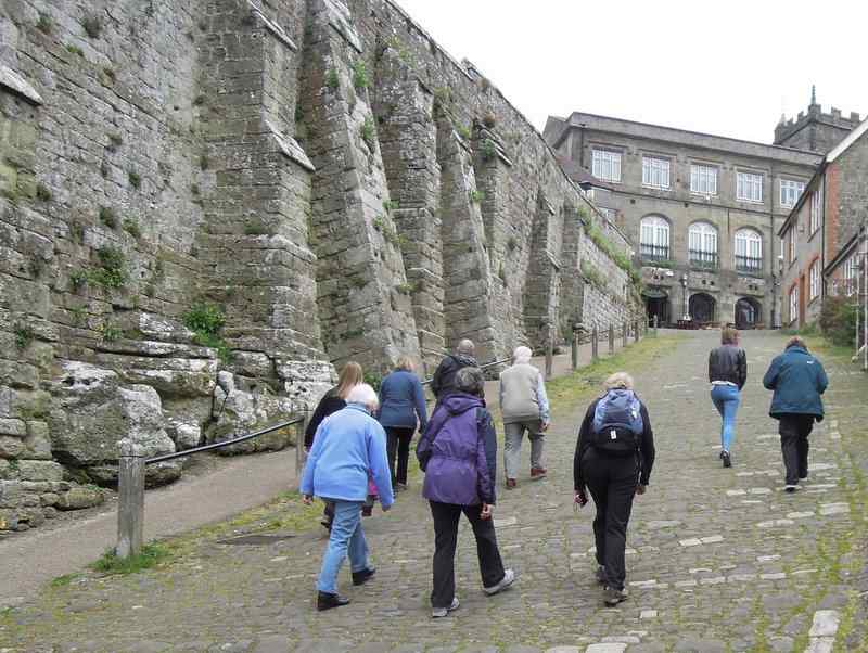 {short description of image}