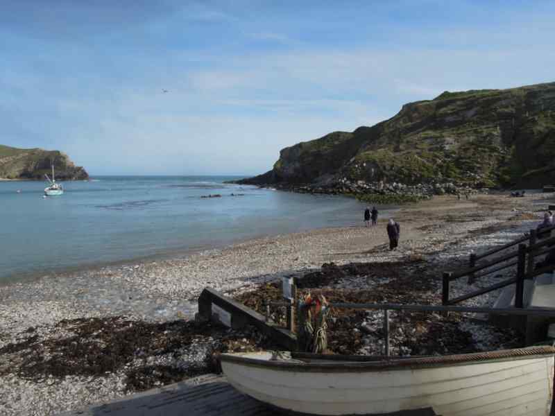 {short description of image}