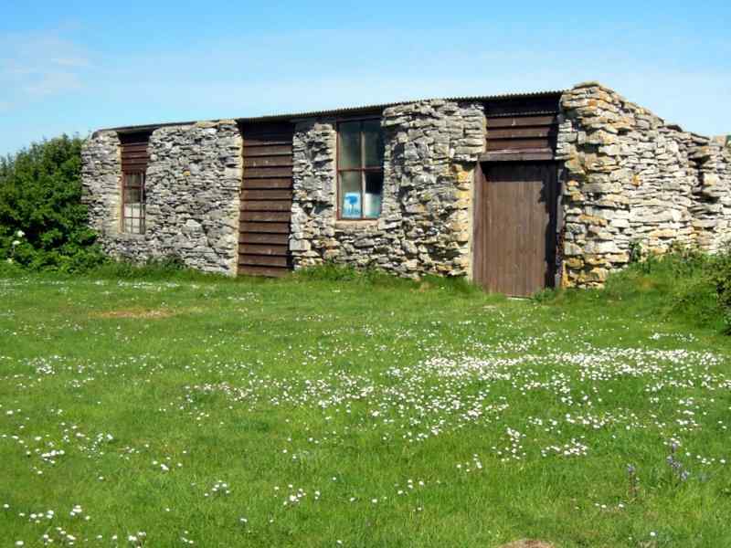 {short description of image}