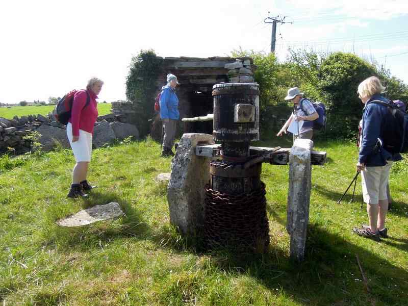 {short description of image}