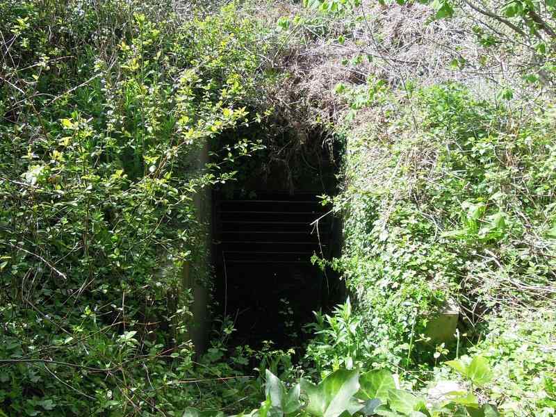 {short description of image}