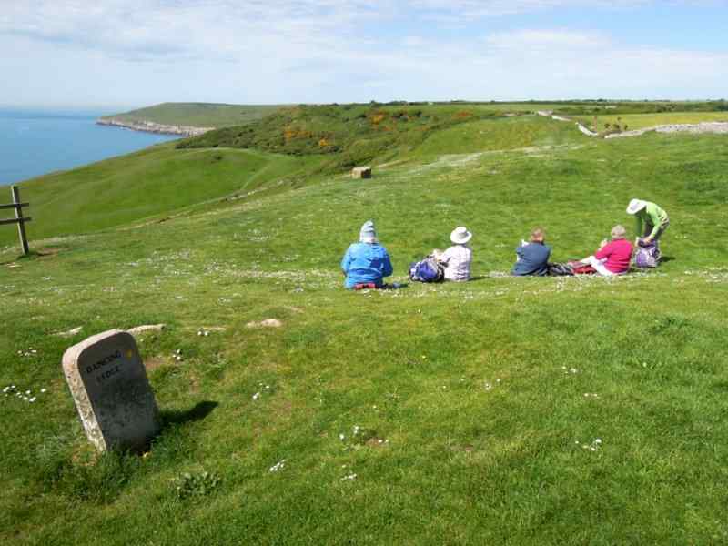 {short description of image}