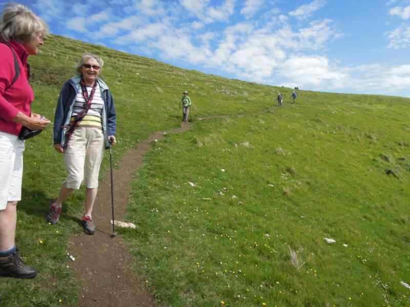 {short description of image}