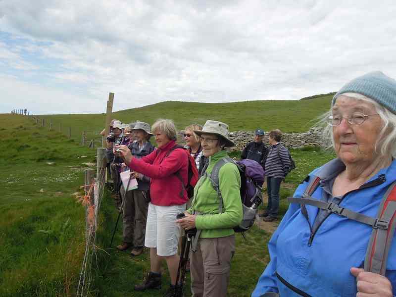 {short description of image}