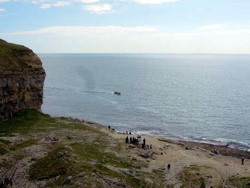 {short description of image}