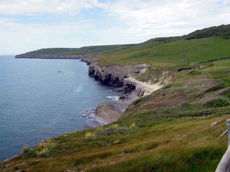 {short description of image}