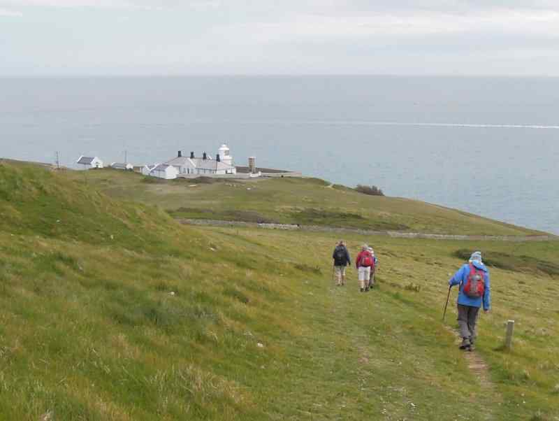 {short description of image}