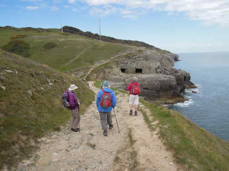 {short description of image}