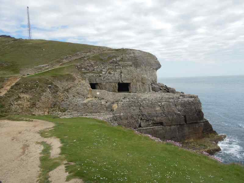 {short description of image}