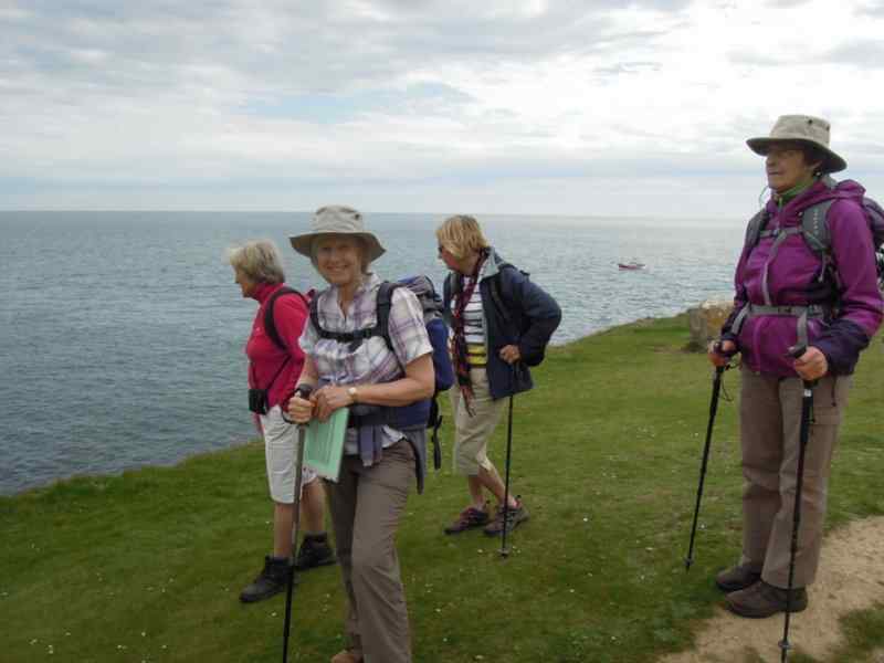 {short description of image}