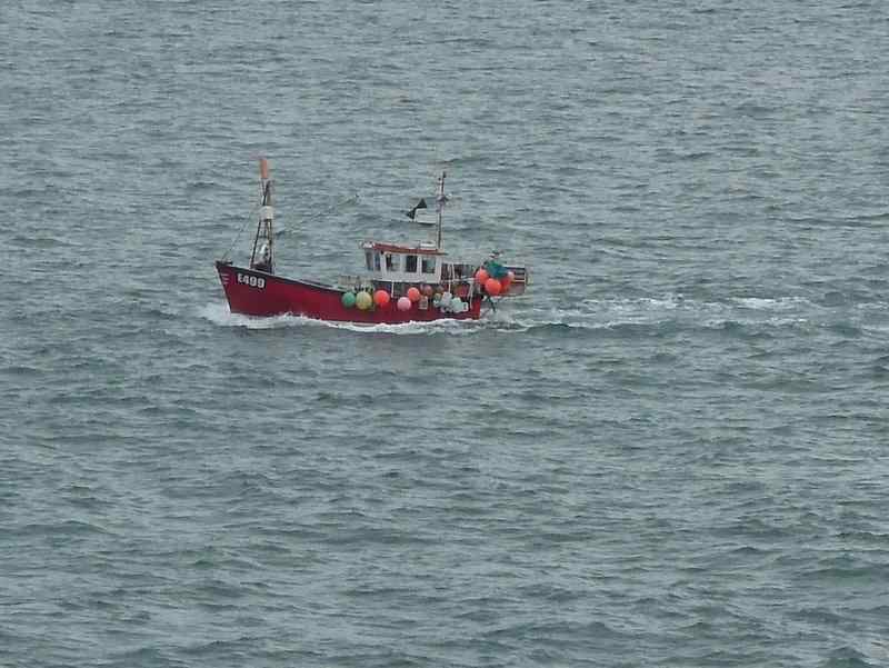 {short description of image}