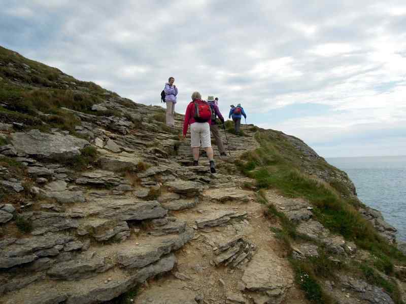 {short description of image}