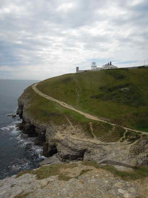 {short description of image}