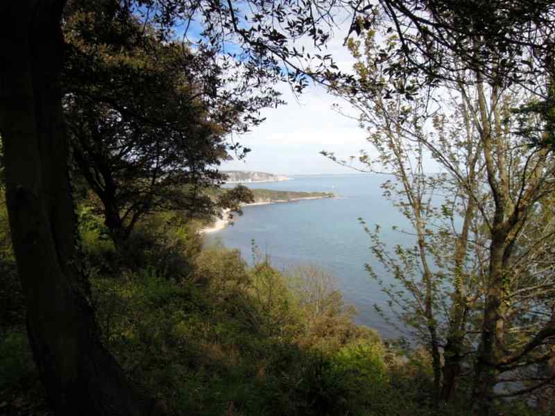 {short description of image}