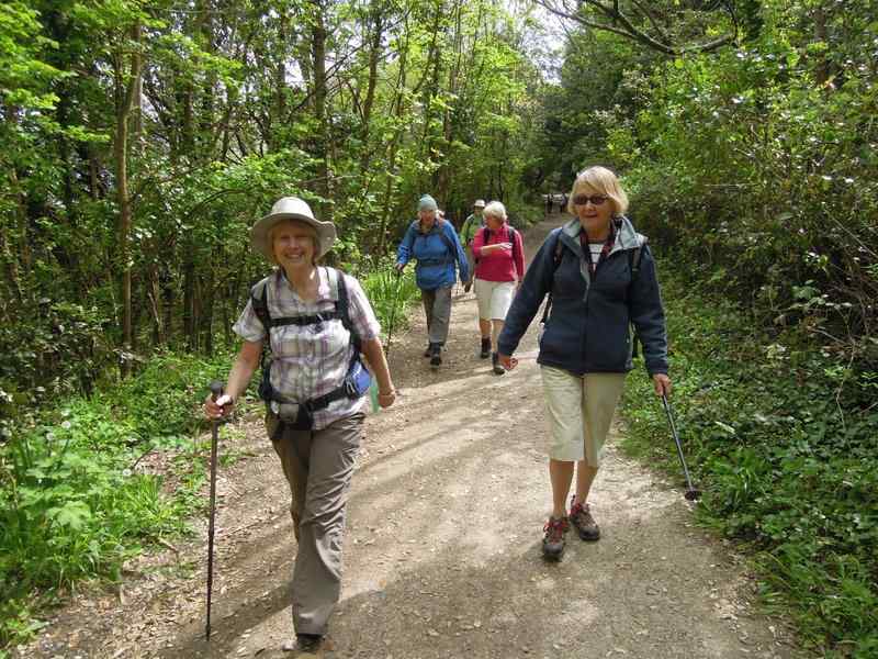 {short description of image}