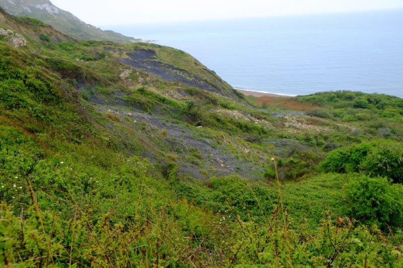 {short description of image}