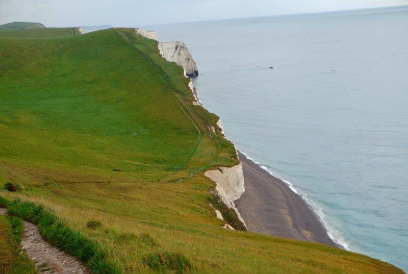 {short description of image}