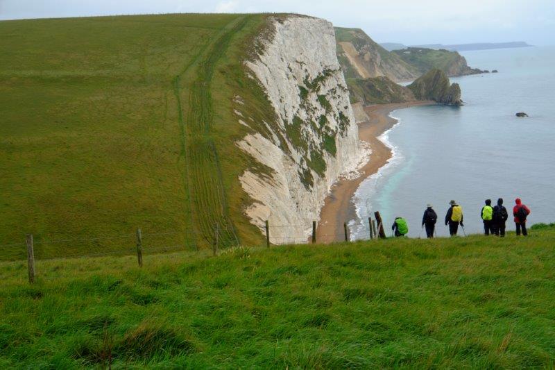 {short description of image}