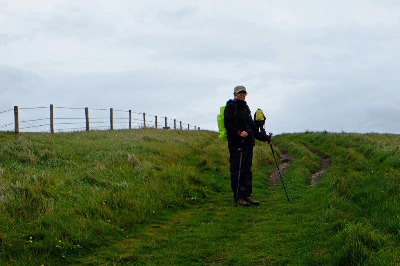 {short description of image}