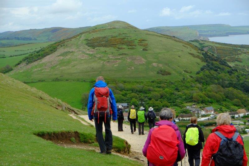 {short description of image}